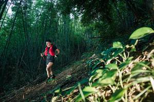 BIB: 
                            <button type="button" onclick="openModal(28123450)" class="btn btn-primary btn-sm float-right btn-popup" data-toggle="modal" data-target=".modal-high-quality">
                        <i class="fas fa-shopping-cart"></i> Add to Cart
                    </button>
                                            <button type="button" onclick="isThisMe(28123450, true)" class="btn btn-success btn-sm float-right btn-popup btn-isme hidden" data-toggle="tooltip" data-placement="bottom" title="นี่คือรูปของคุณใช่ไหม คลิกที่นี่เพื่อเอาเข้าอัลบั้ม">
                        <i class="fas fa-plus"></i> Add to album
                    </button>
                    <button type="button" onclick="isThisMe(28123450, false)" class="btn btn-warning btn-sm float-right btn-popup btn-isnotme hidden">
                        <i class="fas fa-ban"></i> Remove from album
                    </button>